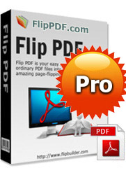 Flip PDF professional